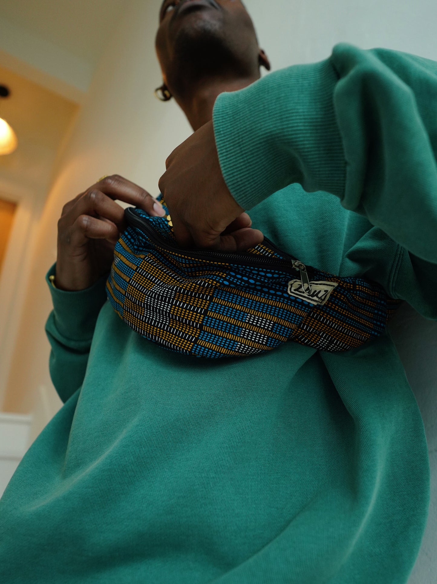 Microchip Fanny